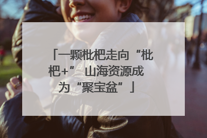 一颗枇杷走向“枇杷+” 山海资源成为“聚宝盆”