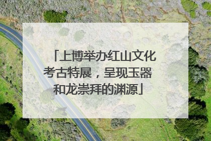 上博举办红山文化考古特展，呈现玉器和龙崇拜的渊源
