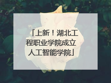 上新！湖北工程职业学院成立人工智能学院