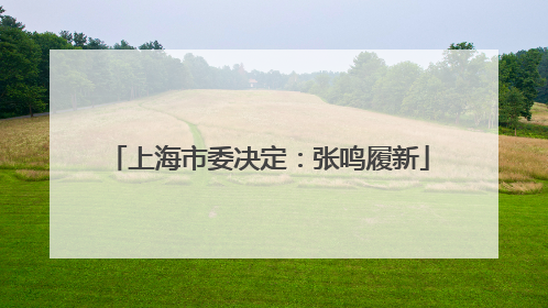 上海市委决定：张鸣履新