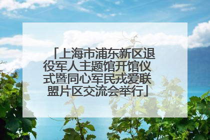 上海市浦东新区退役军人主题馆开馆仪式暨同心军民戎爱联盟片区交流会举行