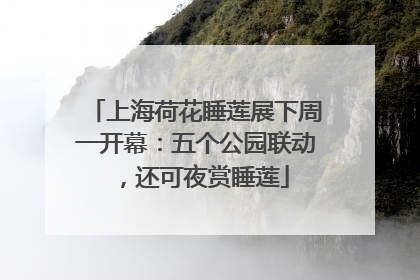 上海荷花睡莲展下周一开幕：五个公园联动，还可夜赏睡莲