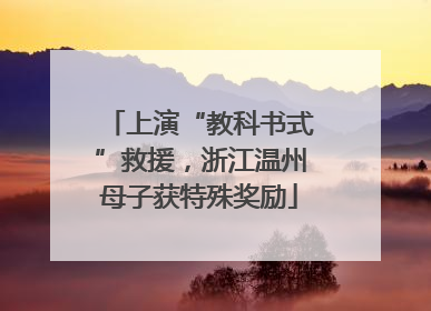 上演“教科书式”救援，浙江温州母子获特殊奖励