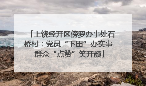 上饶经开区傍罗办事处石桥村：党员“下田”办实事 群众“点赞”笑开颜