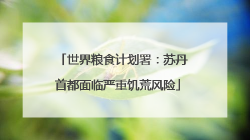 世界粮食计划署：苏丹首都面临严重饥荒风险