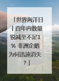 世界海洋日丨百年内数量锐减至不足1% 非洲企鹅为何迅速消失？