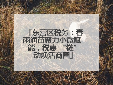 东营区税务：春雨润苗聚力小微赋能，税惠 “链” 动焕活商圈