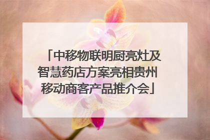 中移物联明厨亮灶及智慧药店方案亮相贵州移动商客产品推介会
