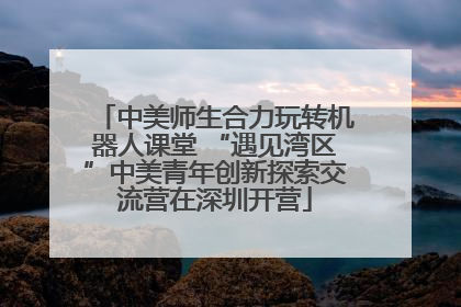 中美师生合力玩转机器人课堂 “遇见湾区”中美青年创新探索交流营在深圳开营