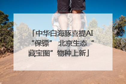 中华白海豚喜提AI“保镖” 北京生态“藏宝图”物种上新