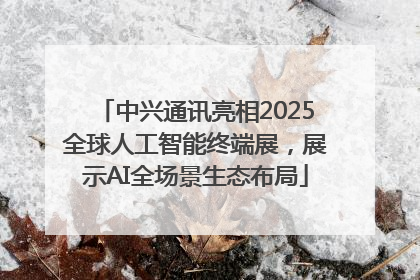中兴通讯亮相2025全球人工智能终端展，展示AI全场景生态布局
