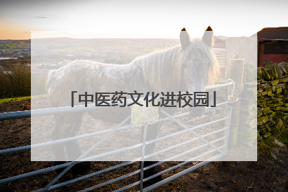 中医药文化进校园