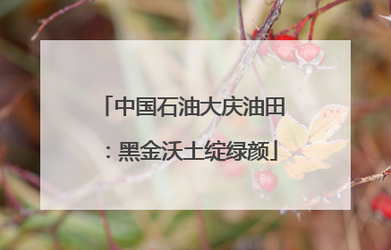 中国石油大庆油田：黑金沃土绽绿颜
