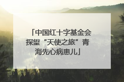 中国红十字基金会探望“天使之旅”青海先心病患儿