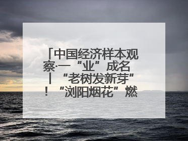 中国经济样本观察·一“业”成名丨“老树发新芽”！“浏阳烟花”燃亮世界