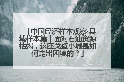 中国经济样本观察·县域样本篇丨面对石油资源枯竭，这座戈壁小城是如何走出困境的？