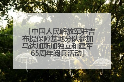 中国人民解放军驻吉布提保障基地分队参加马达加斯加独立和建军65周年阅兵活动