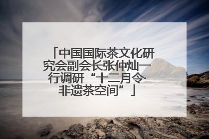 中国国际茶文化研究会副会长张仲灿一行调研“十二月令·非遗茶空间”