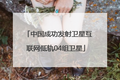 中国成功发射卫星互联网低轨04组卫星