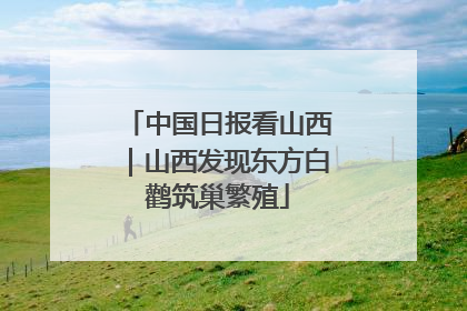中国日报看山西｜山西发现东方白鹳筑巢繁殖