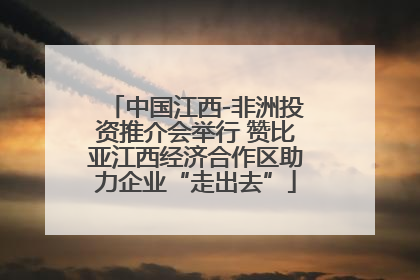 中国江西-非洲投资推介会举行 赞比亚江西经济合作区助力企业“走出去”