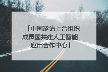 中国邀请上合组织成员国共建人工智能应用合作中心