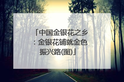 中国金银花之乡：金银花铺就金色振兴路(图)
