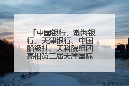 中国银行、渤海银行、天津银行、中国船级社、天科院组团亮相第三届天津国际航运展 输出航运服务“中国方案”