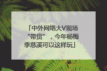 中外网络大V现场“带货”，今年杨梅季慈溪可以这样玩