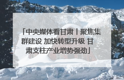 中央媒体看甘肃丨聚焦集群建设 加快转型升级 甘肃支柱产业增势强劲