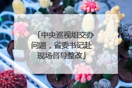 中央巡视组交办问题，省委书记赴现场督导整改