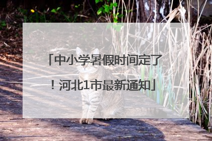 中小学暑假时间定了！河北1市最新通知