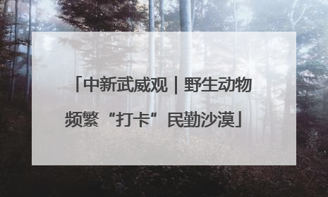 中新武威观｜野生动物频繁“打卡”民勤沙漠