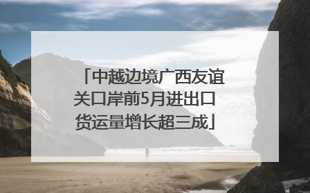 中越边境广西友谊关口岸前5月进出口货运量增长超三成