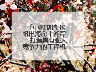 中部制造 扬帆出海①丨湘潭：打造具有强大竞争力的工程机械再制造基地