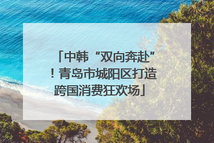 中韩“双向奔赴”！青岛市城阳区打造跨国消费狂欢场