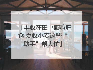 丰收在田→颗粒归仓 夏收小麦这些“助手”帮大忙