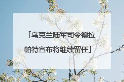乌克兰陆军司令德拉帕特宣布将继续留任