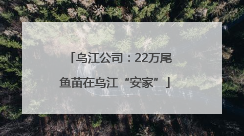 乌江公司：22万尾鱼苗在乌江“安家”