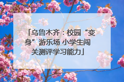 乌鲁木齐：校园“变身”游乐场 小学生闯关测评学习能力