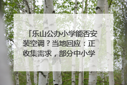 乐山公办小学能否安装空调？当地回应：正收集需求，部分中小学已启动安装｜云求助
