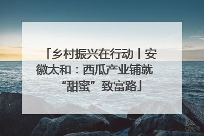 乡村振兴在行动丨安徽太和：西瓜产业铺就“甜蜜”致富路