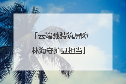 云端驰骋筑屏障 林海守护显担当