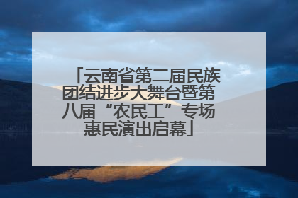云南省第二届民族团结进步大舞台暨第八届“农民工”专场惠民演出启幕