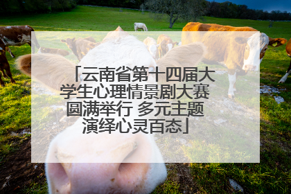 云南省第十四届大学生心理情景剧大赛圆满举行 多元主题演绎心灵百态