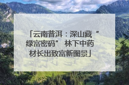 云南普洱：深山藏“绿富密码” 林下中药材长出致富新图景