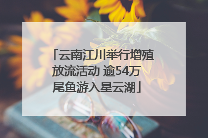 云南江川举行增殖放流活动 逾54万尾鱼游入星云湖