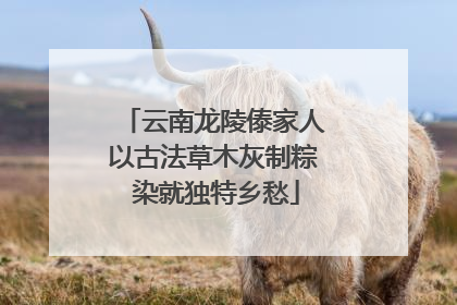 云南龙陵傣家人以古法草木灰制粽 染就独特乡愁