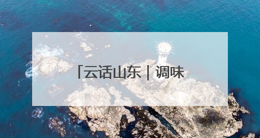 云话山东｜调味品年出口20万吨！乐陵连打新“牌”助力企业出海