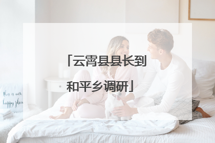 云霄县县长到和平乡调研